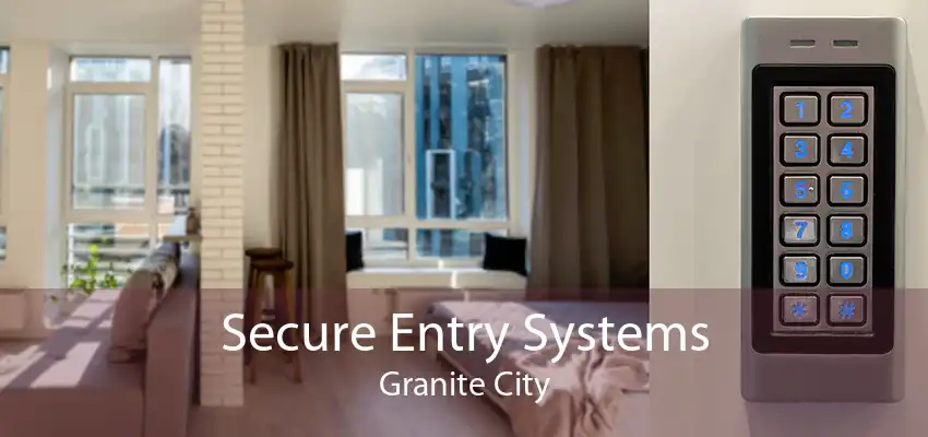 Secure Entry Systems Granite City