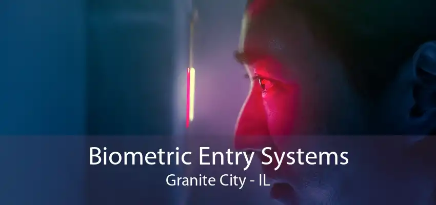 Biometric Entry Systems Granite City - IL