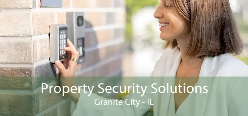 Property Security Solutions Granite City - IL